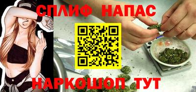 дурь Гусев