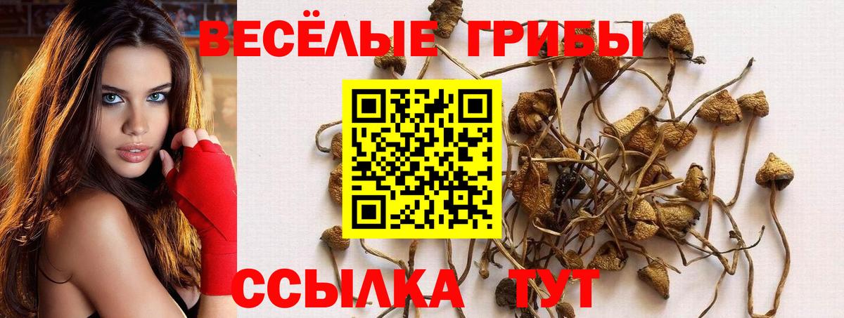 Галлюциногенные грибы Magic Shrooms Миасс